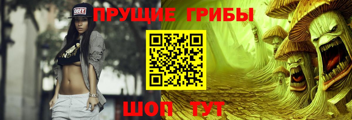 Псилоцибиновые грибы мицелий  Вход с VPN  Карачаевск 